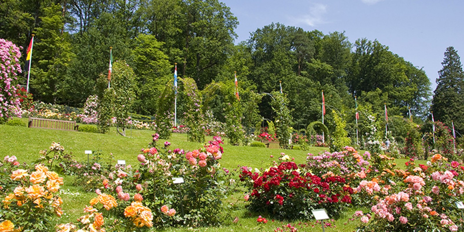 Rosengarten Baden-Baden